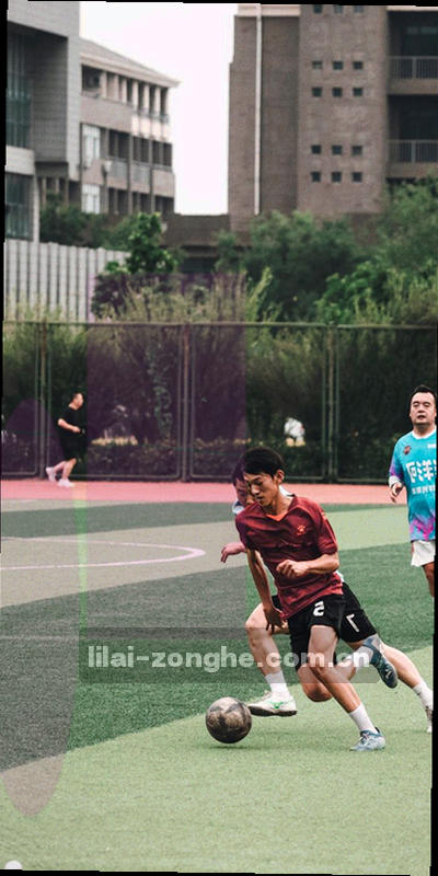 手机屏幕显示利来体育综合首页导航